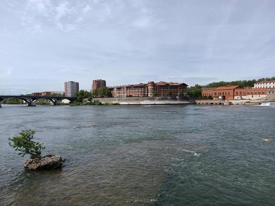 Апартаменты T3 Lumineux - Berges De La Garonne - Parking Тулуза Экстерьер фото